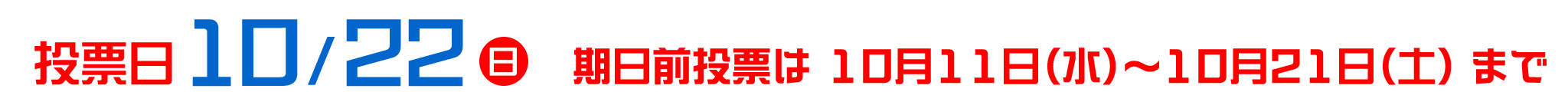 衆議院議員総選挙
