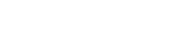 衆議院議員総選挙